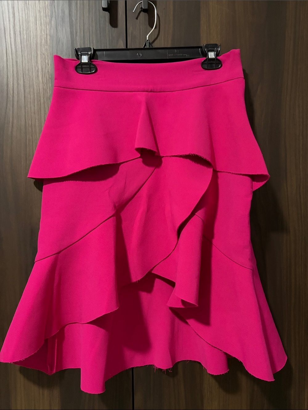 Zara Hot Pink Ruffle A-Line Skirt